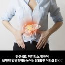 췌장암 걸린 남자가 평소에 자주 마시던 음료 이미지