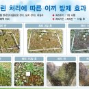 디엔텍(주) 이미지