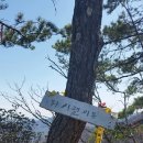 구봉팔문 이미지