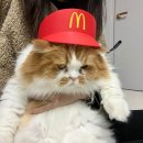 (주)로윈