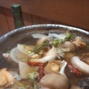 원조골뱅이 이미지