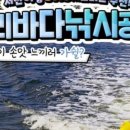 명성낚시 - 해남군 산정길 65-7 | 명성낚시