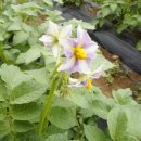 하임농장 이미지