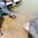 오류내낚시터 이미지