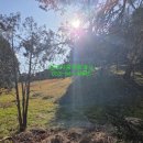 강릉농협주유소 이미지