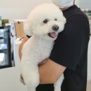 무브멍트 이미지