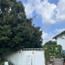 오리들2길 이미지