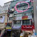 명동머드