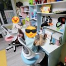 산본로48번길 네이버블로그