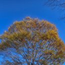 파인힐스 | [순천 골프 ]가을 정취 가득한 파인힐스 라운딩 후기 입니다...