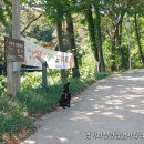 초록산등산로 이미지