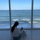 데이토나 펜션 이미지