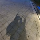 팔도강산노래방 이미지