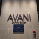 부산발레시어터 ’트리플 빌’ | [부산/숙소] 아바니 센트럴 부산 트리플룸 조식 헬스장 솔직후기(뮤지컬 위키드 관람 + 전포동·서면...