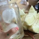 채원농장 이미지