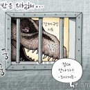 3617 이미지