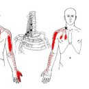 더시원마취통증의학과의원 이미지
