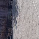 계남공원(배드민턴장) 이미지