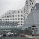 영 당구장 | [전남여행] 금호화순스파리조트 패밀리디럭스 아쿠아나 포함 기획전 후기