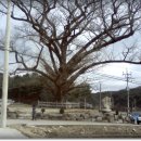 지동산촌마을 이미지