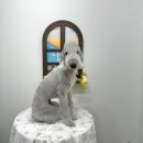 홀리몰리살롱 이미지