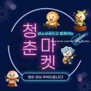 원주만두축제 즐길거리 청춘마켓 플리마켓 후기