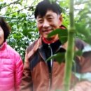 다백농장 이미지