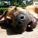 드림에듀학원 이미지