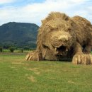 지푸라기 이미지