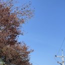 아우프나우트매뉴팩토리 네이버블로그
