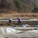 원식농장 이미지