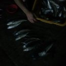 유포체험마을 이미지