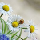 중장농장 이미지