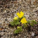 수원청소년문화센터 이미지