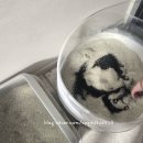 팡팡 캣 페스타, 고양이 화장실 환경에 좋은 '갸르릉 연구소 / 야채 샌드 - 친환경 야자 활성탄' 솔직 후기