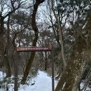제주돈아서귀포점 | 1월 한겨울 한라산 백록담 관음사 왕복 등반 후기(준비물은 컵라면, 간식 많이)