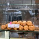 사파동355 | 창원 사파동 소금빵이 맛집 신상카페 '시오소코'