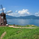 바람의 언덕 이미지