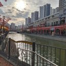 거북당약국 이미지