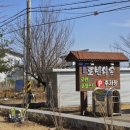 카페포레스트 | 파주 헤이리 브런치카페 | 실내 애견동반 대형카페 로빈포레스트 내돈내산 솔직후기