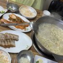 놀뫼애견 이미지