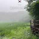 제주가는날 | 물영아리오름 소요시간 난이도 추천코스 주차장 람사르습지 비오는날 제주 오름 후기