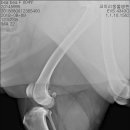 코끼리동물병원 이미지