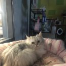 닥터스종합동물병원 이미지