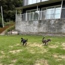 두지네 윗집 이미지