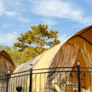 스테이 모인 이미지