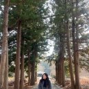 신우약국 | 대마도 당일치기 여행 1탄 배/전기자전거 예약 및 무료 짐보관 (+ 포켓와이파이/멀미약)