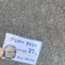 성수축사 | 그정도 판단 능력은 있습니다.