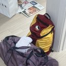 고양이 세수_설렘 | [수련 일기] 릴라마이 고성_요가 리트릿