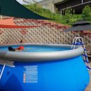 클럽더독스 이미지